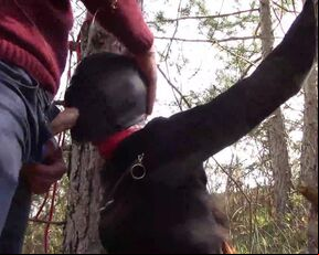 Tied to a tree, masked and outdoor deepthroat with no mercy